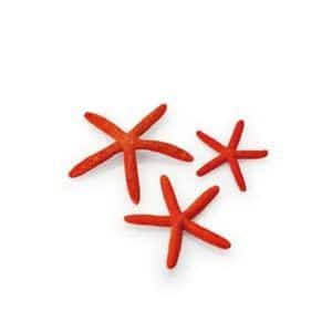 Set of 3 Starfish Red Aquarium Decoration