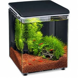 SuperFish Home 8L Mini Aquarium