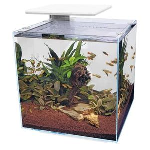 SuperFish QubiQ 60 Pro Aquarium