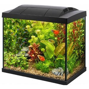 SuperFish Start 100 90L 50 Aquarium Kit