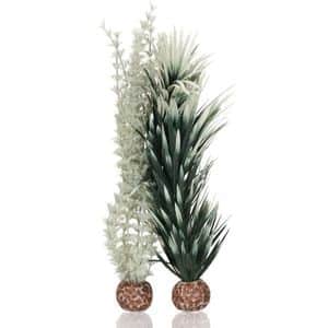 biOrb Ambulia Grey & Green Twin Pack Plants