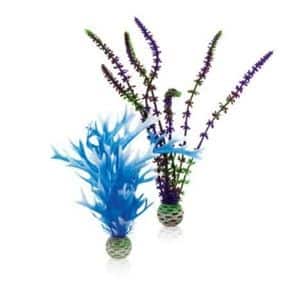 biOrb Easy Plant Blue Purple Twin Pack
