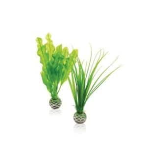 biOrb Easy Plant Green Twin Pack