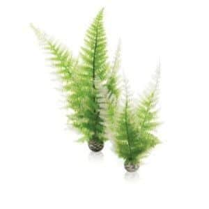 biOrb Easy Plant Winter Fern Twin Pack