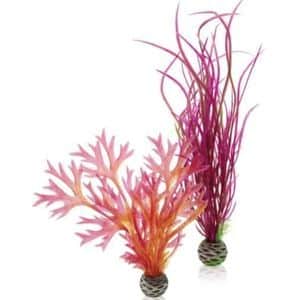 biOrb Easy Plants Pink Red Twin Pack