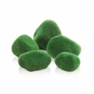 biOrb Moss Pebbles