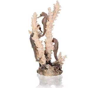 biOrb Seahorses on Coral Ornament Natural Medium
