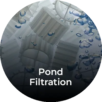 pond-filtration