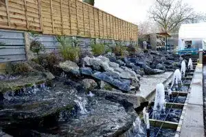 pond-waterfall pond-waterfall