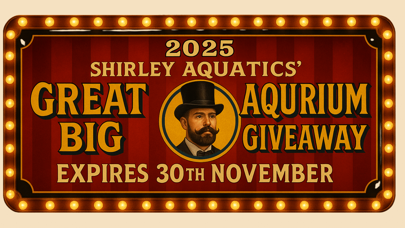Shirley Aquatics Big Aquarium Giveaway