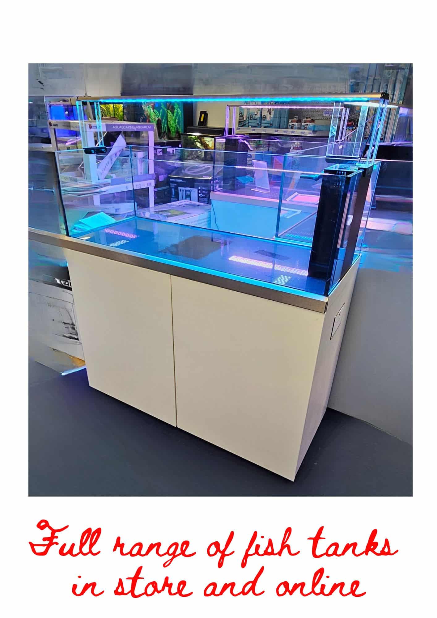 Full range of fish tanks in store and online