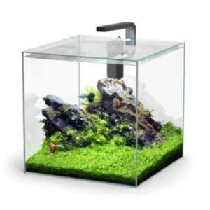 Kubus 54L Aquarium Kit