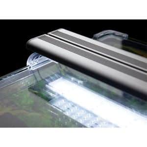 UNIV :LED Plus