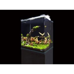 Kubus Curve 65L Aquarium Kit (2)