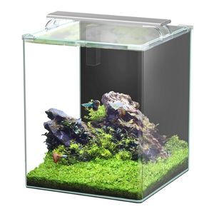 Kubus Curve 65L Aquarium Kit (3)