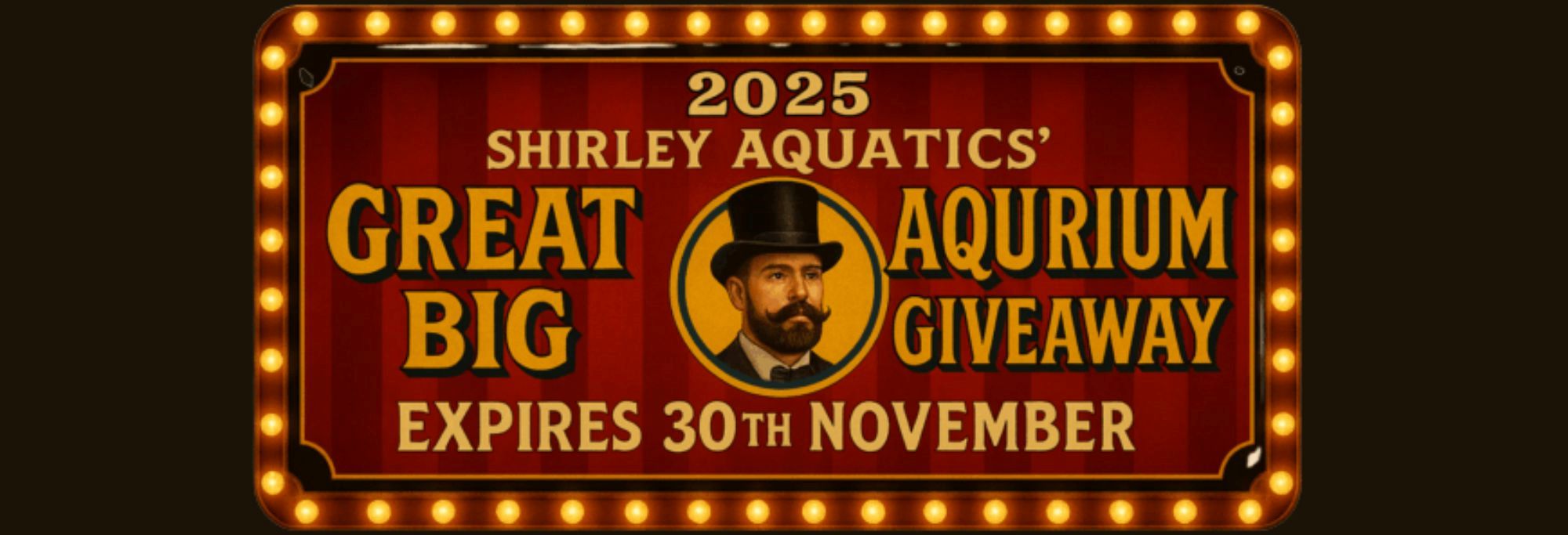 Shirley Aquatics Big Aquarium Giveaway