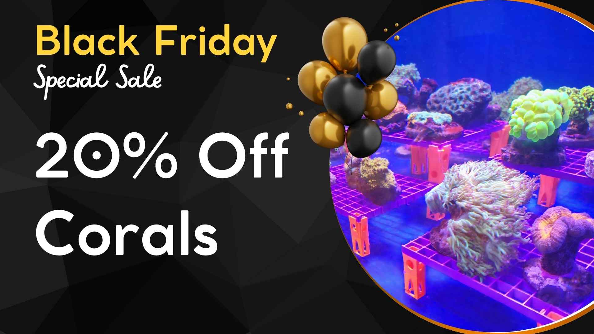 20% off corals