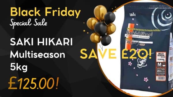 Black and Yellow Modern Black Friday Presentation (4)