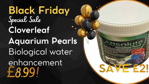 Black and Yellow Modern Black Friday Presentation (7)