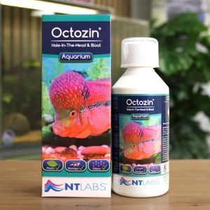 NT Labs Octozin 250ml