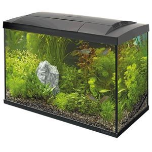 Superfish 70L Aquarium Kit
