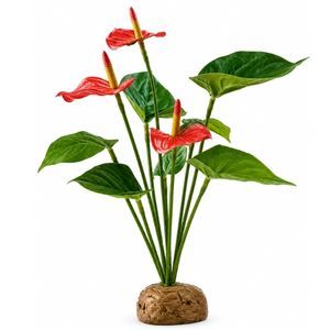 Exo Terra Anthurium Bush