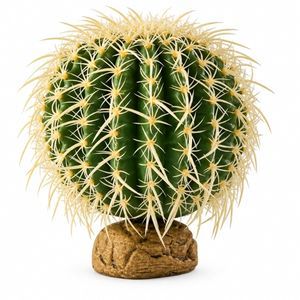 Exo Terra Barrel Cactus Medium
